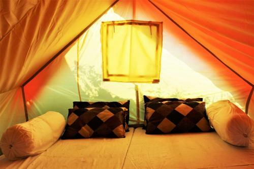 Aman Camps