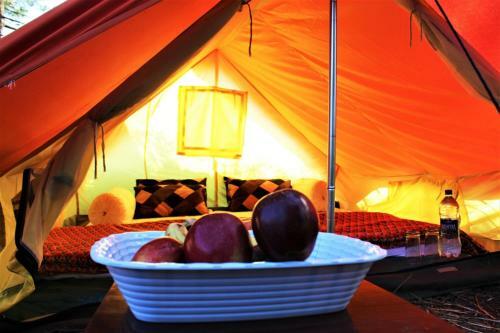 Aman Camps