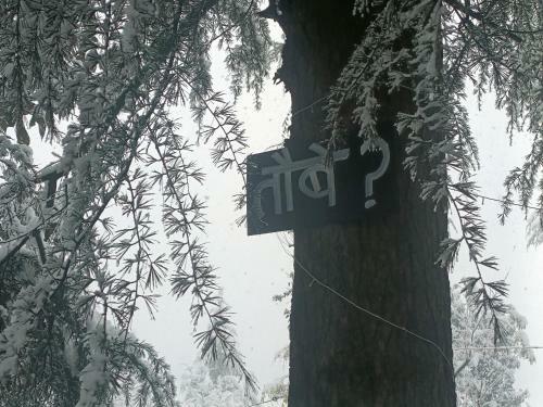 Aman Camps
