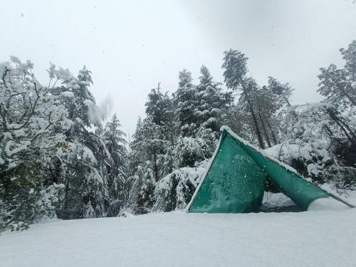 Aman Camps