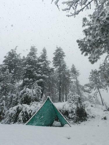 Aman Camps