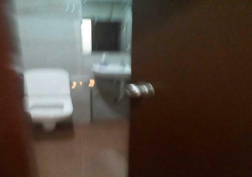 Hotel Vip Palace