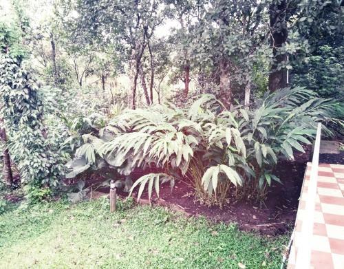 Hostal Hill Mist Thekkady