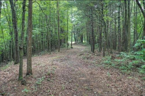 32 Acre Memory Maker By Escape To Blue Ridge