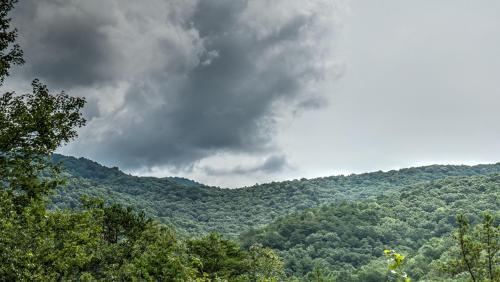 Bluejay By Escape To Blue Ridge