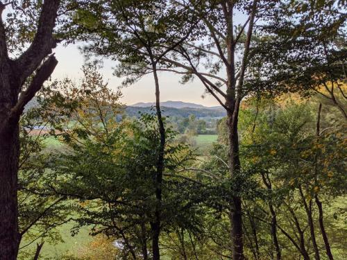 Mountain River Retreat Star5vacations New!
