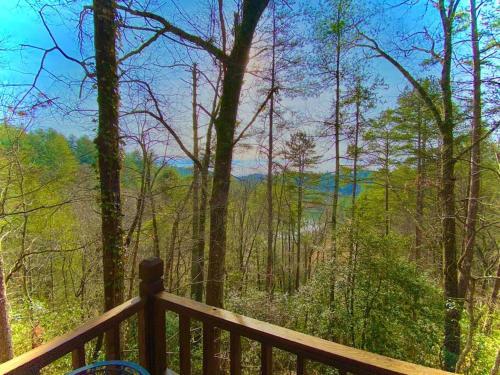 Moonlit Mountain-pond, Fire Pit, Hot Tub, 4 Acres