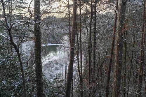 Moonlit Mountain-pond, Fire Pit, Hot Tub, 4 Acres