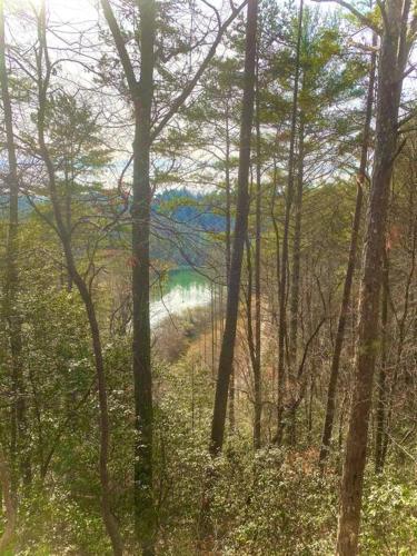Moonlit Mountain-pond, Fire Pit, Hot Tub, 4 Acres