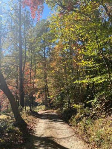 Moonlit Mountain-pond, Fire Pit, Hot Tub, 4 Acres