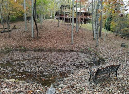 Tranquility Pond By Escape To Blue Ridge