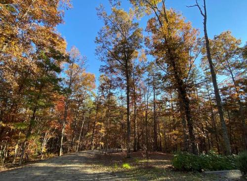 Hot Tub, Pool Table, Fire Pit Very Secluded