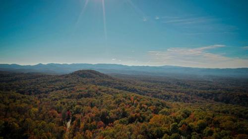Eagles Rising By Escape To Blue Ridge