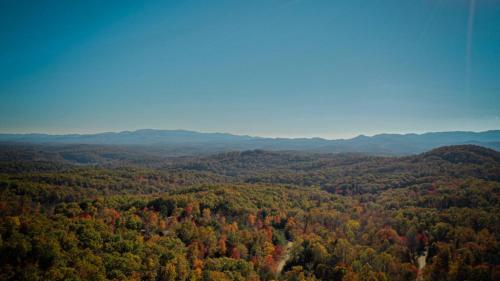 Eagles Rising By Escape To Blue Ridge