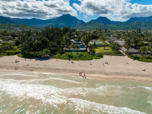 Hawaiian Dream - Beachfront Oceanfront Paradise, Villa