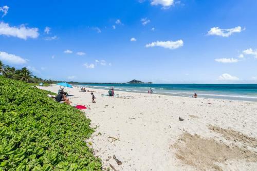 Hawaiian Dream - Beachfront Oceanfront Paradise, Villa