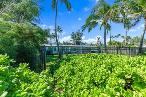 Hawaiian Dream - Beachfront Oceanfront Paradise, Villa