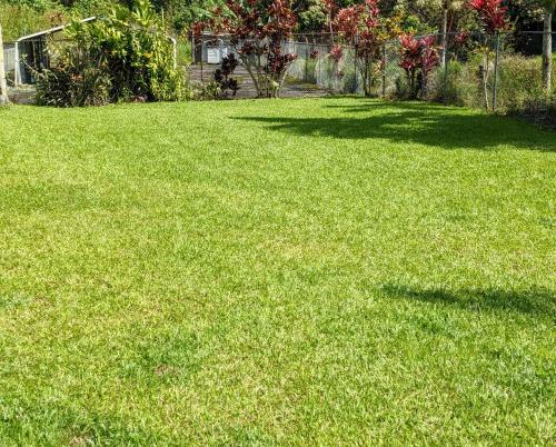 Apartamento Private Luxury Suite In Hilo