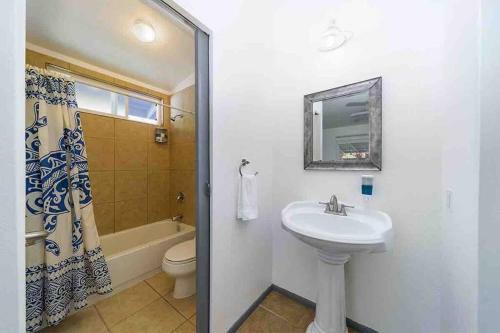 Blue Hawaiian Rentals #2