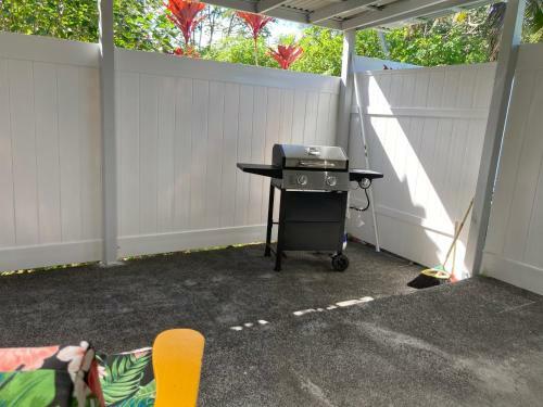 Blue Hawaiian Rentals #2
