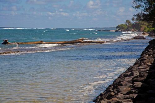 Oceanfront Kauai - Harmony Tvnc 4247
