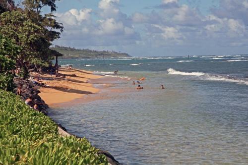 Oceanfront Kauai - Harmony Tvnc 4247