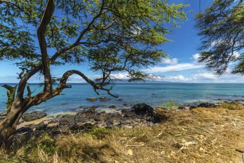 Apartamento Paki Maui 202a