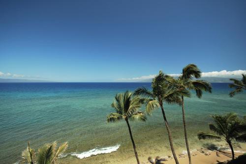Apartamento Mahana 604 Oceanfront 1bd 1ba Condo