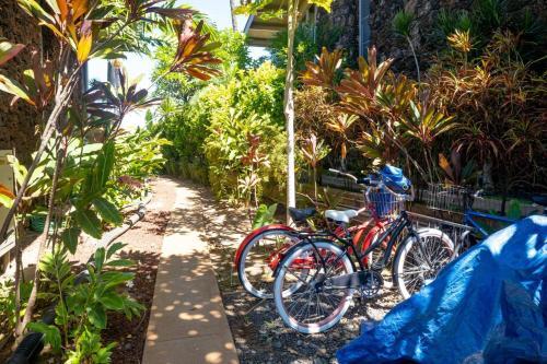 Hale Kai 115 By Coldwell Banker Island Vacations