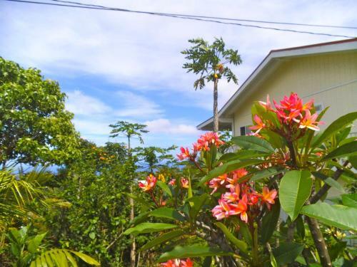 Hostal Bears' Place Guest House