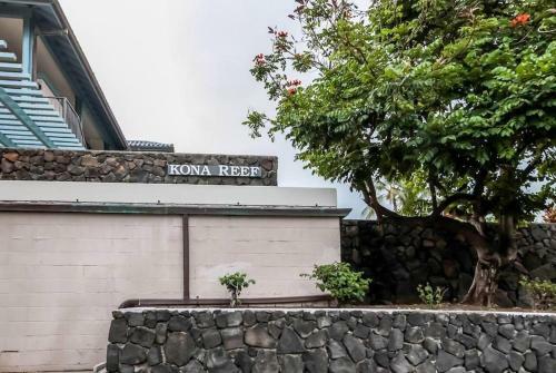 Kona Reef #d31