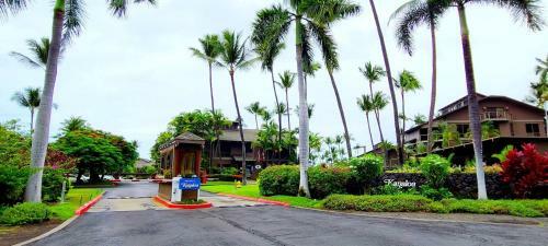 Kanaloa #3503 By Casago