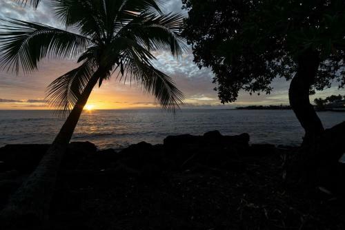 Kona By The Sea By Casago