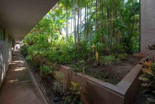 Apartamento Maui Tranquility II