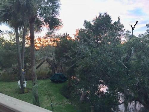Apartamento Tranquil Marsh Setting Minutes To Savannah & Tybee