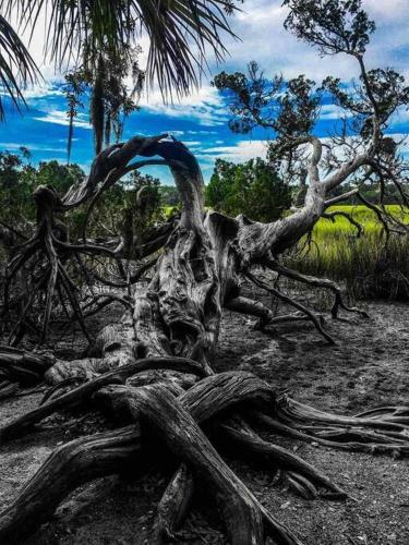 Apartamento Tranquil Marsh Setting Minutes To Savannah & Tybee