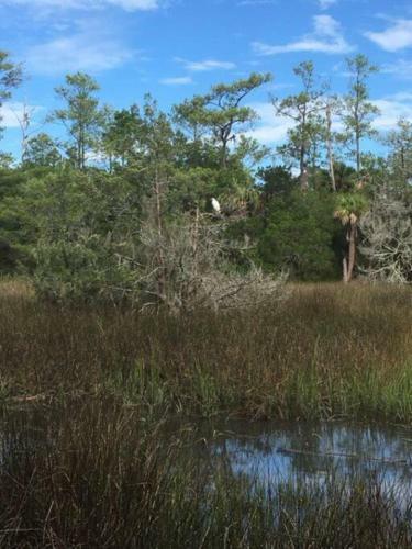 Apartamento Tranquil Marsh Setting Minutes To Savannah & Tybee