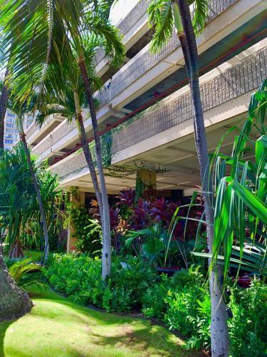 Apartamento Hawaiian Monarch Ph502 Apts