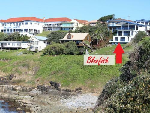 Apartamento Bluefish