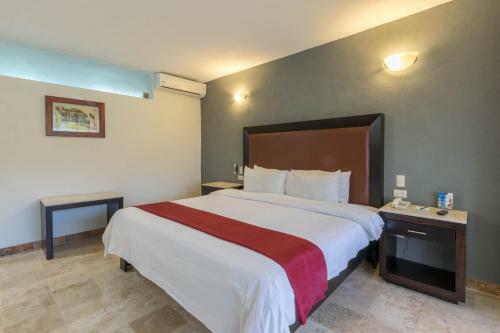 Hotel Real De Minas Poliforum