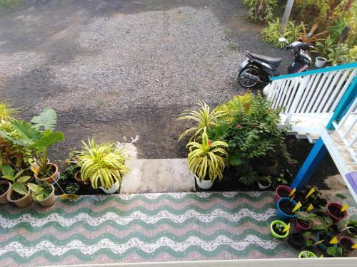 Krasom Homestay