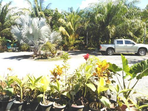 Krasom Homestay