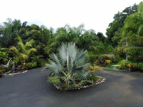 Krasom Homestay