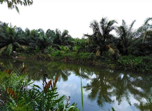 Krasom Homestay