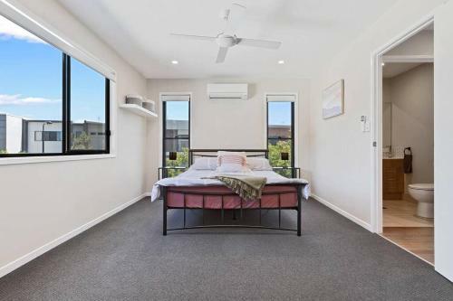 Pet Friendly, Pool And More In Maroochydore