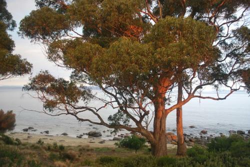 Apartamentos Beachside Taroona With Spa
