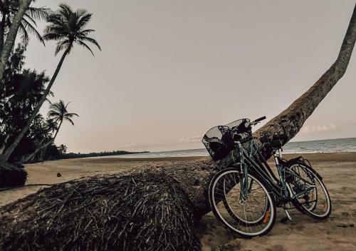 The Slow Monday - Modern Beach Shack