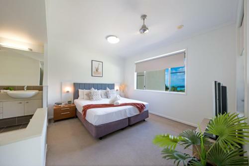 Apartamento Tulip Oak