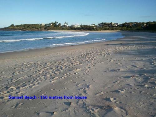 Lurnea Avenue 38