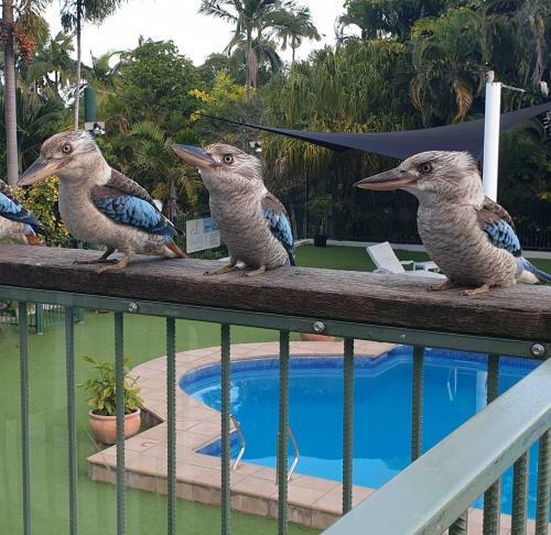 Magnetic Island Resort, Sleeps 3, Free Wifi